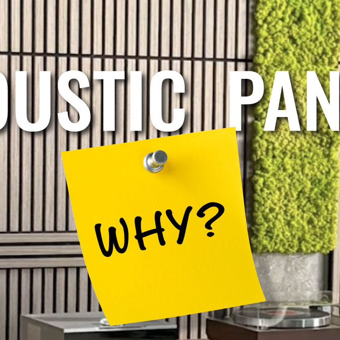 Why Acoustic Panels Are the Design Upgrade Your Space Needs