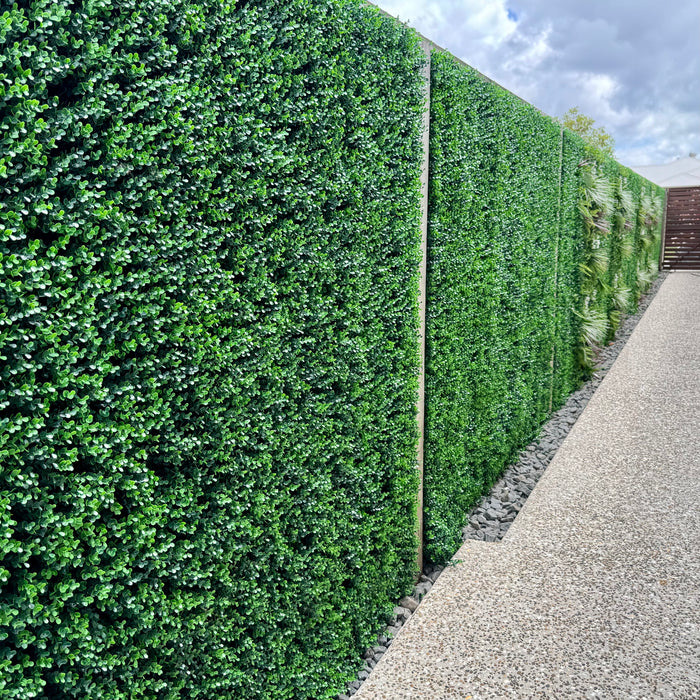 green wall hanging plants DECKO VERDURE Green Wall - ARBOREA - 1.6' x 1.6' — DECKO USA